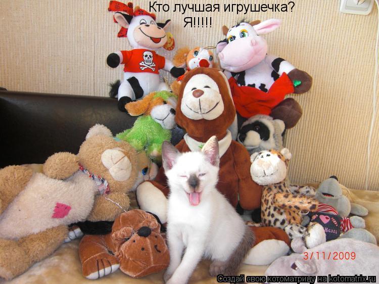 Кто лучшая игрушечка? Я!!!!!... Котоматрица: Кто лучшая игрушечка? Я!!!!!