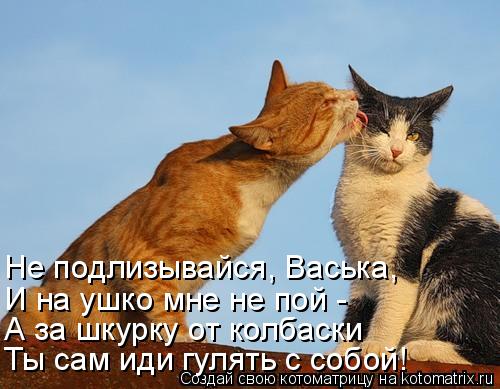 Не подлизывайся, Васька, И на ушко мне не пой - А за шкурку от колбаски Ты сам иди гулять с собой!... Котоматрица: Не подлизывайся, Васька, И на ушко мне не пой - А за шкурку от колбаски Ты сам иди гулять с собой!