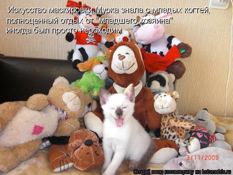 Искусство маскировки Мурка знала с младых когтей, полноценный отдых от "младшего хозяина" иногда бы... Котоматрица: Искусство маскировки Мурка знала с младых когтей, полноценный отдых от "младшего хозяина" иногда был просто необходим.
