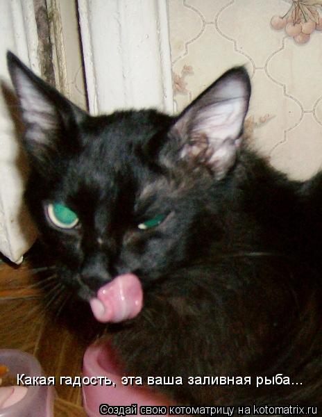 Какая гадость, эта ваша заливная рыба...... Котоматрица: Какая гадость, эта ваша заливная рыба...