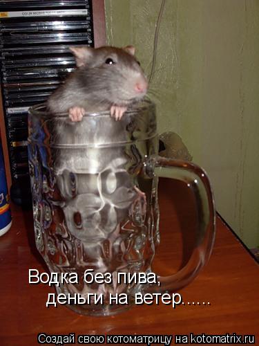 Котоматрица: Водка без пива, деньги на ветер......
