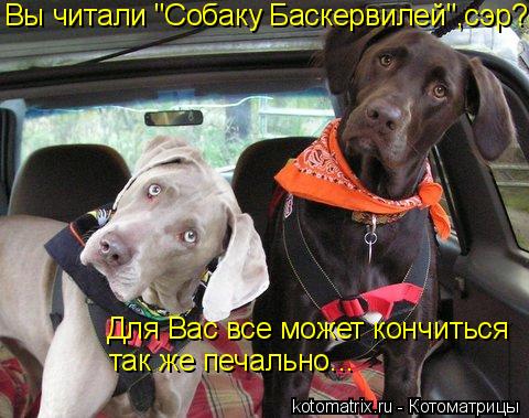 Котоматрица: Вы читали "Собаку Баскервилей",сэр ? Для Вас все может кончиться  так же печально...