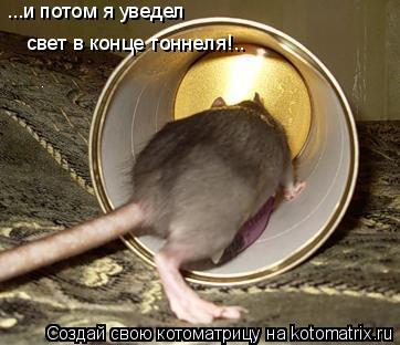 Котоматрица: ...и потом я уведел свет в конце тоннеля!..