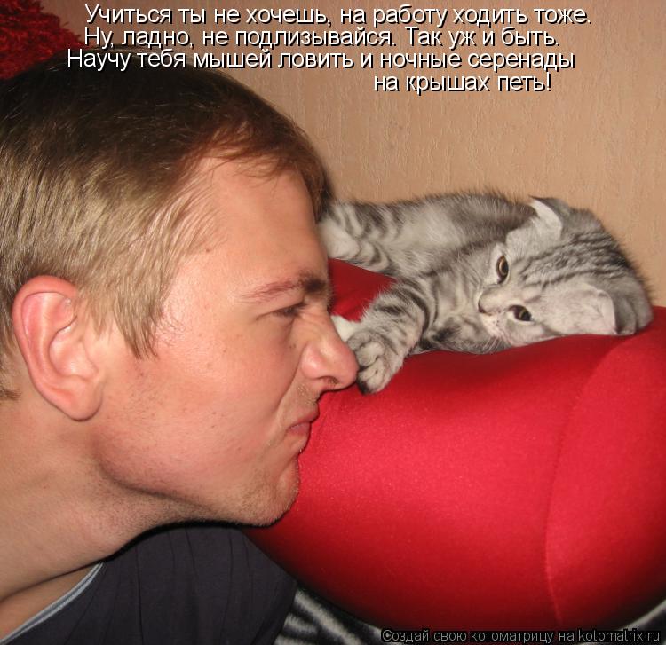 Котоматрица: Учиться ты не хочешь, на работу ходить тоже. Ну, ладно, не подлизывайся. Так уж и быть. Научу тебя мышей ловить и ночные серенады  на крышах пе