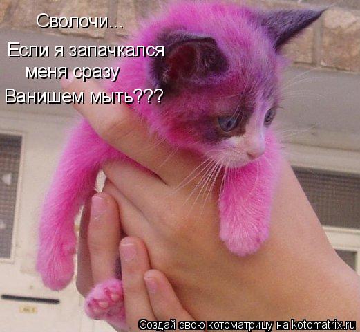 Котоматрица: Сволочи... Если я запачкался меня сразу Ванишем мыть???