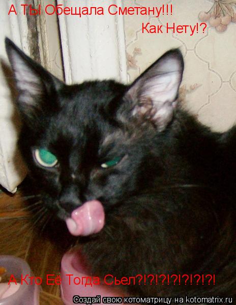 Котоматрица: А ТЫ Обещала Сметану!!! Как Нету!? А Кто Её Тогда Сьел?!?!?!?!?!?!?!