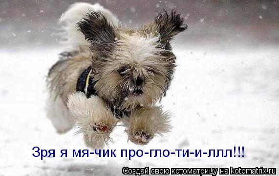 Зря я мя-чик про-гло-ти-и-ллл!!!... Котоматрица: Зря я мя-чик про-гло-ти-и-ллл!!!