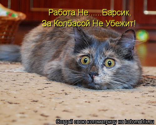 Котоматрица: Работа Не......Барсик, За Колбасой Не Убежит!