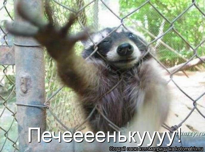 Котоматрица: Печеееенькуууу!