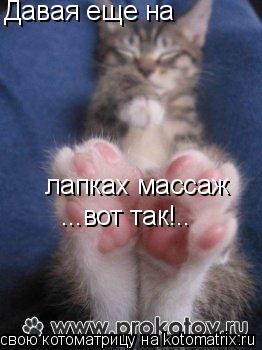 Котоматрица: Давая еще на  лапках массаж ...вот так!..