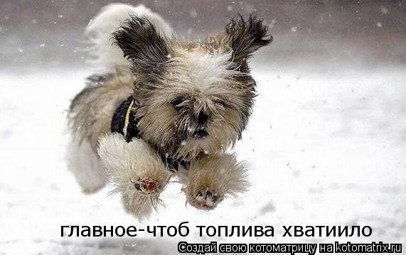 Котоматрица: главное-чтоб топлива хватиило