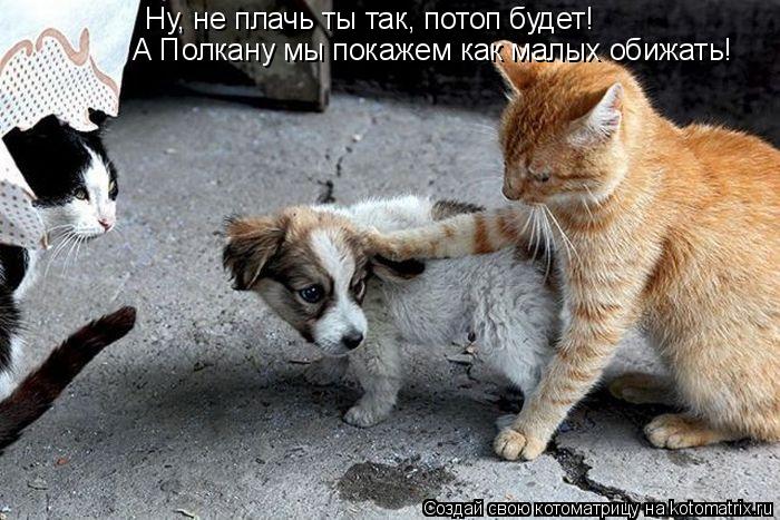 Ну, не плачь ты так, потоп будет! А Полкану мы покажем как малых обижать!... Котоматрица: Ну, не плачь ты так, потоп будет! А Полкану мы покажем как малых обижать!