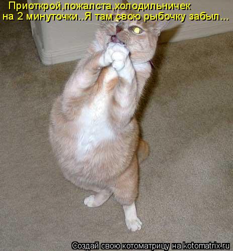 Котоматрица: Приоткрой,пожалста,холодильничек  на 2 минуточки..Я там свою рыбочку забыл...