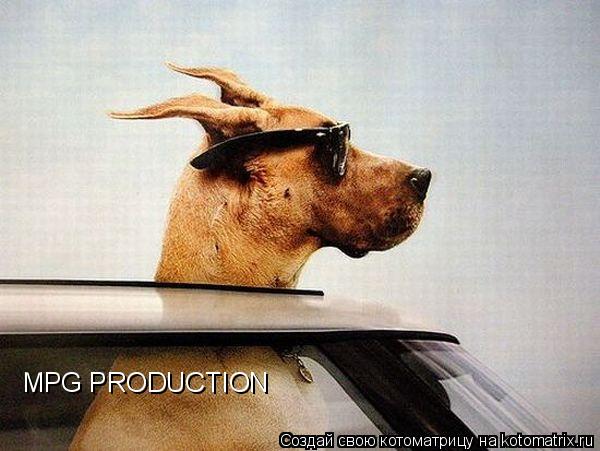 Котоматрица: MPG PRODUCTION