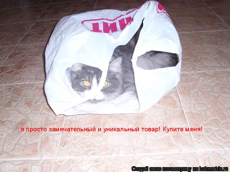 Котоматрица: я просто замечательный и уникальный товар! Купите меня!