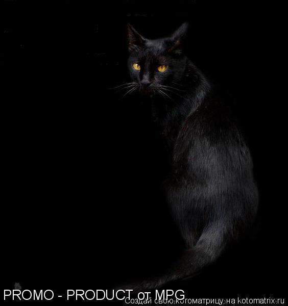 Котоматрица: PROMO - PRODUCT от MPG
