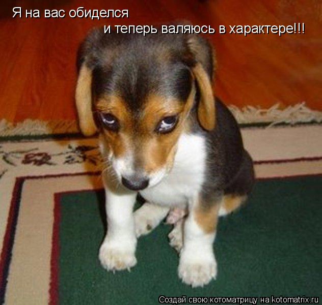 Котоматрица: Я на вас обиделся и теперь валяюсь в характере!!!
