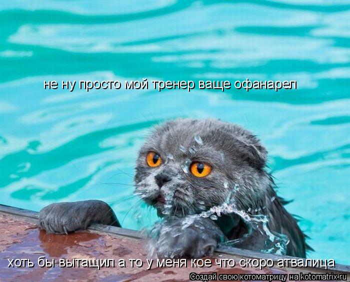 Котоматрица: не ну просто мой тренер ваще офанарел хоть бы вытащил а то у меня кое что скоро атвалица