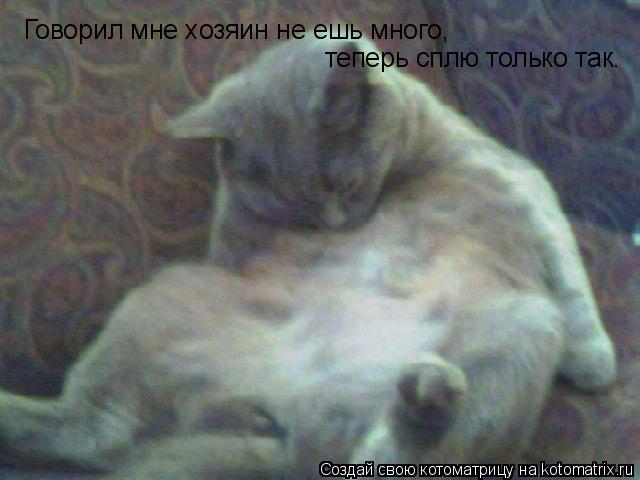 Котоматрица: Говорил мне хозяин не ешь много, теперь сплю только так.