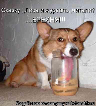 Котоматрица: Сказку ,,Лиса и журавль,,читали? ....БРЕХНЯ!!!