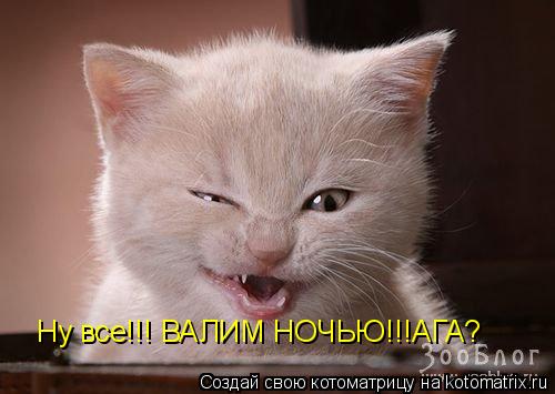 Котоматрица: Ну все!!! ВАЛИМ НОЧЬЮ!!!АГА?