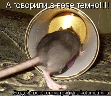 Котоматрица: А говорили в попе темно!!!!