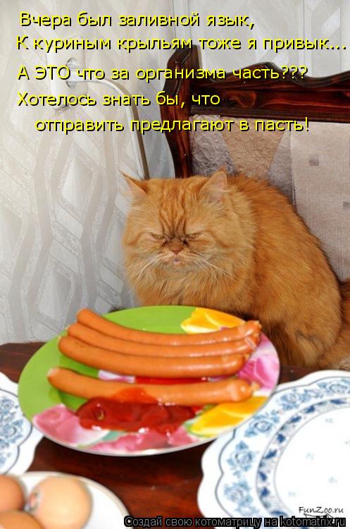 К куриным крыльям тоже я привык... Вчера был заливной язык, А ЭТО что за организма часть??? Хотелось ... Котоматрица: К куриным крыльям тоже я привык... Вчера был заливной язык, А ЭТО что за организма часть??? Хотелось знать бы, что отправить предлагают в пасть