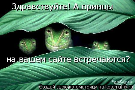 Котоматрица: Здравствуйте! А принцы на вашем сайте встречаются?