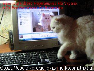 Котоматрица: Наконецто Шото Нормальное На Экране А То Всё Вконтакте Да Вконтакте