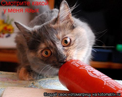Котоматрица: Смотрите какой у меня язык