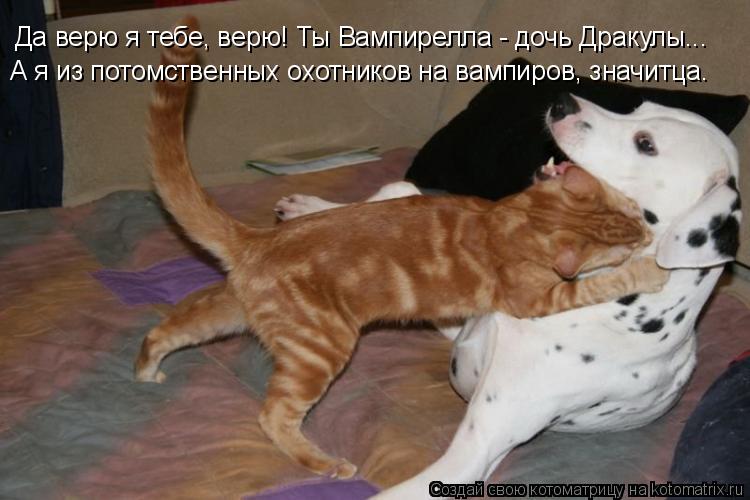 Котоматрица: Да верю я тебе, верю! Ты Вампирелла - дочь Дракулы... А я из потомственных охотников на вампиров, значитца.