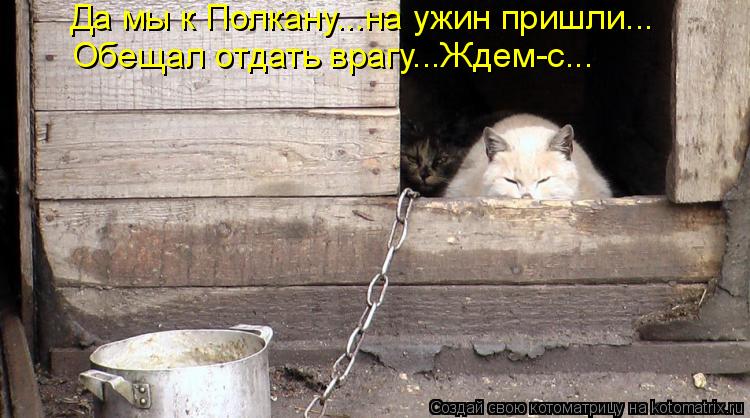 Да мы к Полкану...на ужин пришли... Обещал отдать врагу...Ждем-с...... Котоматрица: Да мы к Полкану...на ужин пришли... Обещал отдать врагу...Ждем-с...