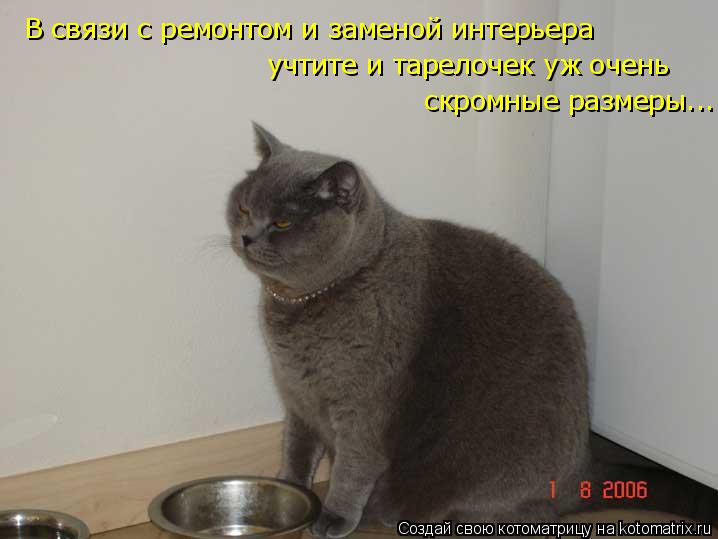 Котоматрица: В связи с ремонтом и заменой интерьера учтите и тарелочек уж очень  скромные размеры...