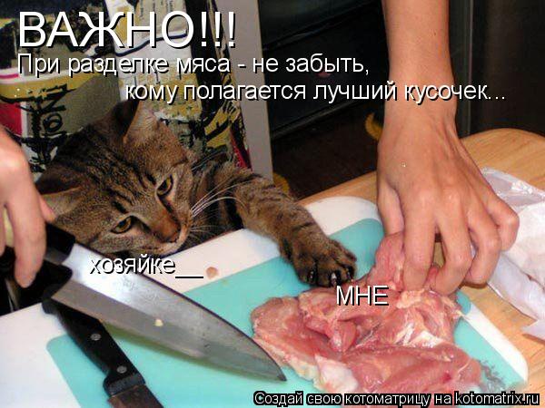 Котоматрица: ВАЖНО!!! При разделке мяса - не забыть, кому полагается лучший кусочек... МНЕ хозяйке__