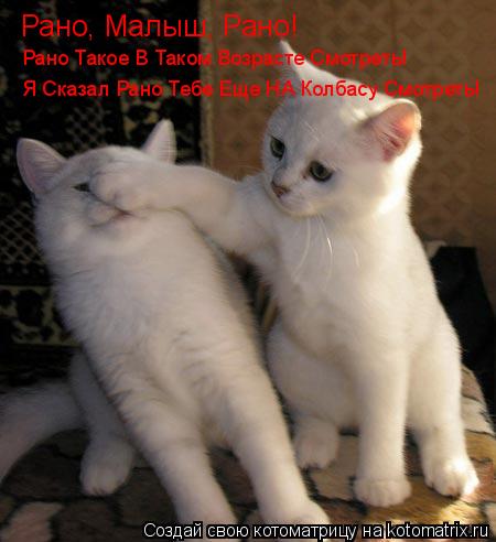 Котоматрица: Рано, Малыш, Рано! Рано Такое В Таком Возрасте Смотреть! Я Сказал Рано Тебе Еще НА Колбасу Смотреть!