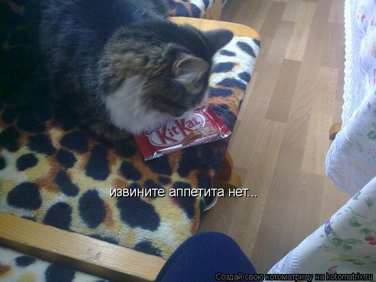 Котоматрица: извините аппетита нет...