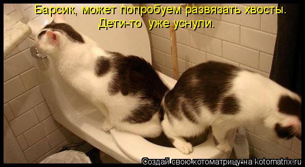 Котоматрица: Барсик, может попробуем развязать хвосты. Дети-то  уже уснули.