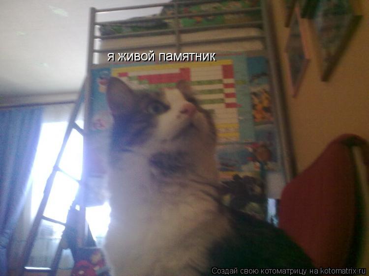Котоматрица: я живой памятник