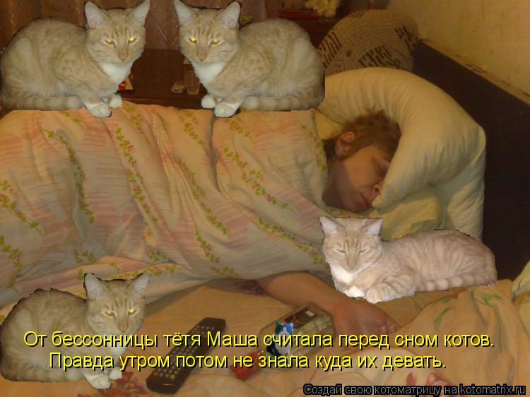 Котоматрица: От бессонницы тётя Маша считала перед сном котов. Правда утром потом не знала куда их девать.
