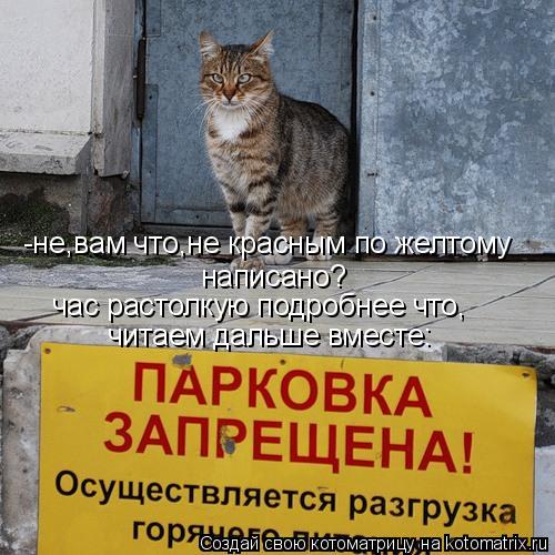 Котоматрица: -не,вам что,не красным по желтому  написано? час растолкую подробнее что, читаем дальше вместе:
