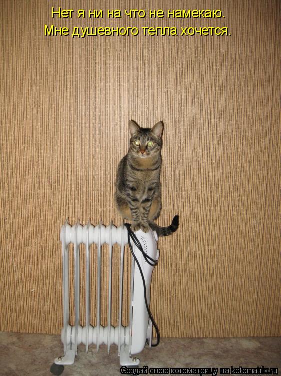 Котоматрица: Нет я ни на что не намекаю. Мне душевного тепла хочется.