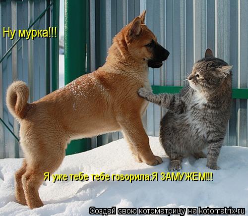 Котоматрица: Ну мурка!!! Я уже тебе тебе говорила:Я ЗАМУЖЕМ!!!