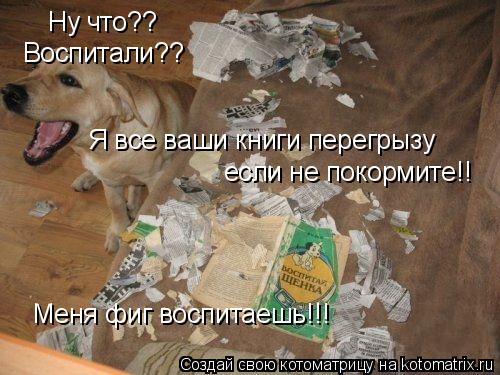 Котоматрица: Ну что?? Воспитали?? Меня фиг воспитаешь!!! Я все ваши книги перегрызу если не покормите!!