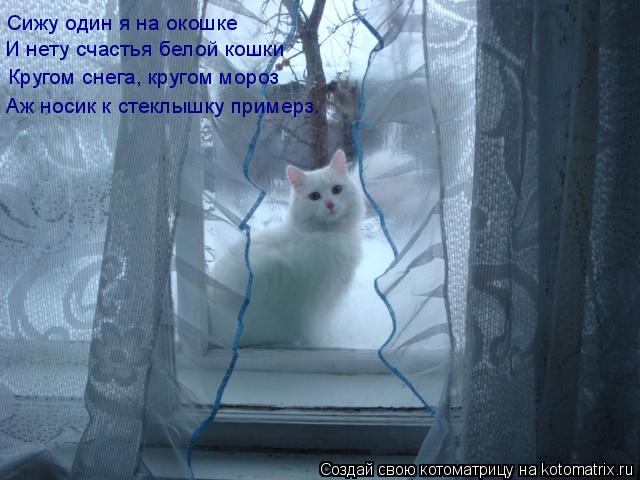 Стих сижу одна я у Стих сижу одна я у