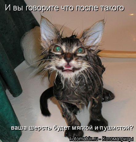 Котоматрица: И вы говорите что после такого ваша шерсть будет мягкой и пушистой?