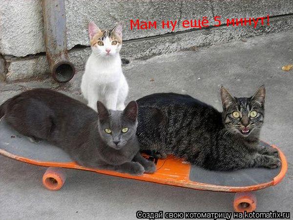 Котоматрица: Мам ну ещё 5 минут!