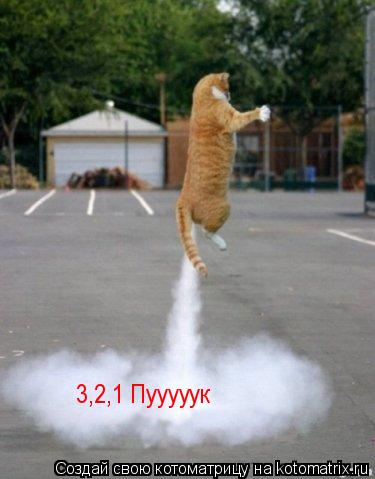 Котоматрица: 3,2,1 Пууууук