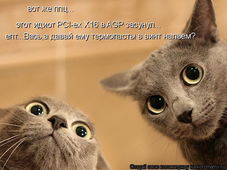 Котоматрица: вот же ппц... этот идиот PCI-ex X16 в AGP засунул... епт...Вась,а давай ему термопасты в винт нальём?