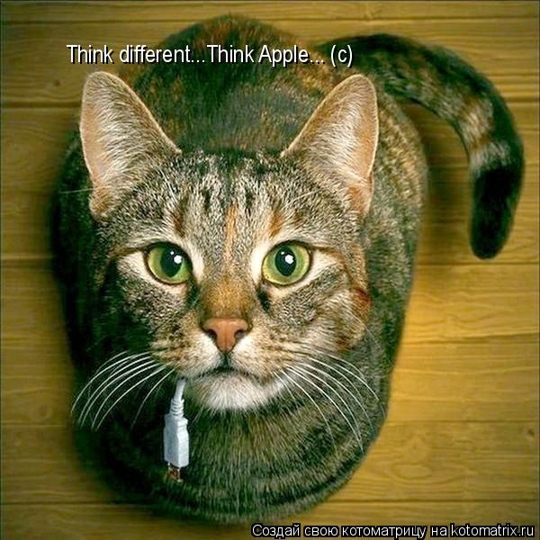 Котоматрица: Think different...Think Apple... (с)