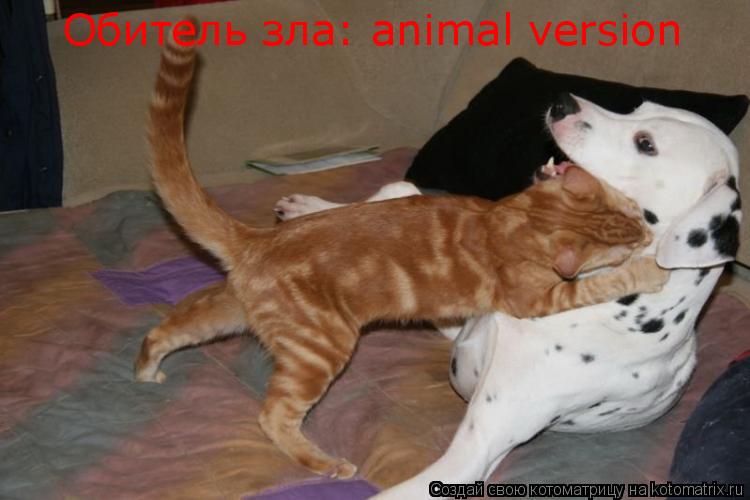 Котоматрица: Обитель зла: animal version